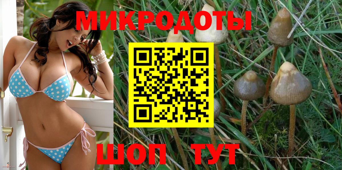 Ярославль  Галлюциногенные грибы Psilocybine cubensis  Вход с VPN 