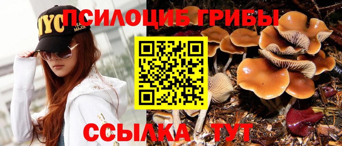 Псилоцибиновые грибы мицелий Ярославль